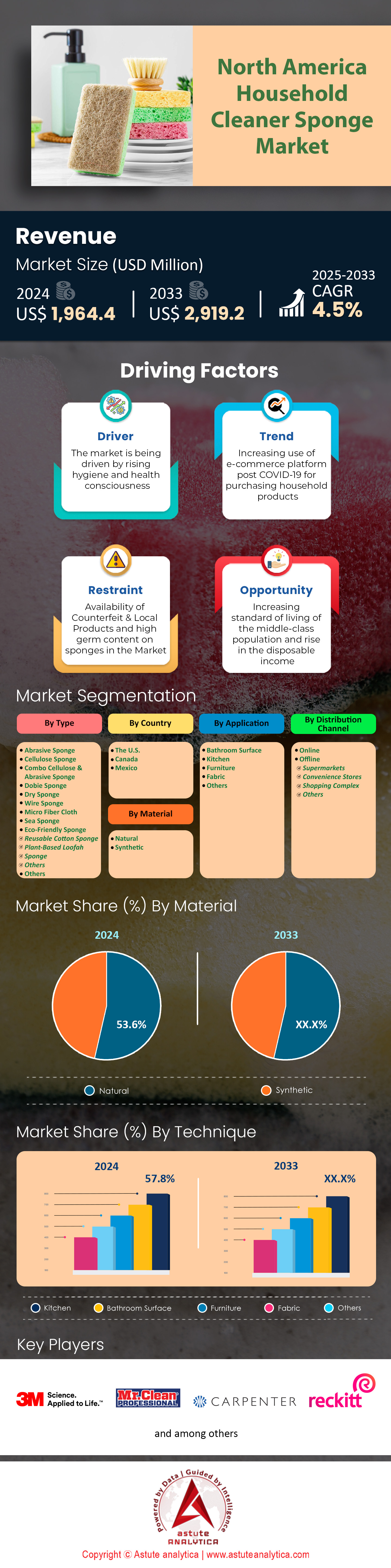 North America Household Cleaner Sponge Market